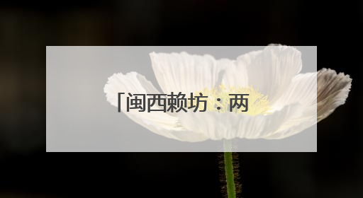 闽西赖坊：两岸乡建乡创的“融合方程式”