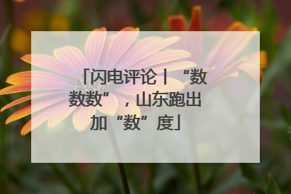 闪电评论丨“数数数”，山东跑出加“数”度