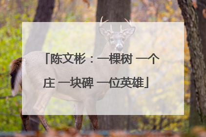 陈文彬：一棵树 一个庄 一块碑 一位英雄