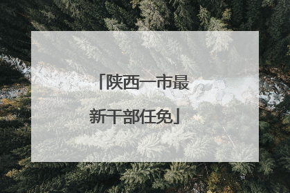 陕西一市最新干部任免