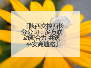 陕西交控西长分公司：多方联动聚合力 共筑平安高速路