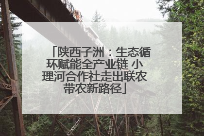 陕西子洲：生态循环赋能全产业链 小理河合作社走出联农带农新路径