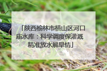 陕西榆林市横山区河口庙水库：科学调度保灌溉 精准放水解旱情