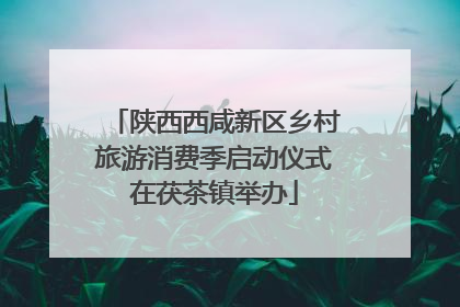 陕西西咸新区乡村旅游消费季启动仪式在茯茶镇举办