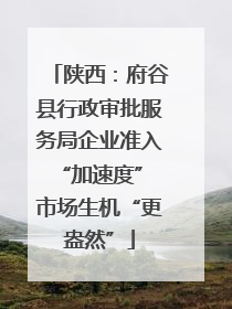 陕西：府谷县行政审批服务局企业准入“加速度” 市场生机“更盎然”