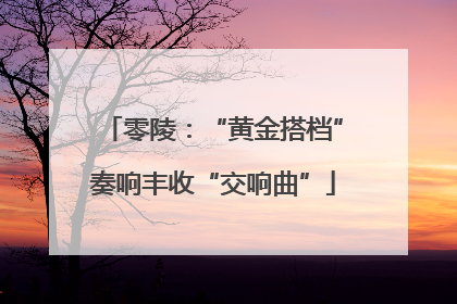 零陵：“黄金搭档”奏响丰收“交响曲”