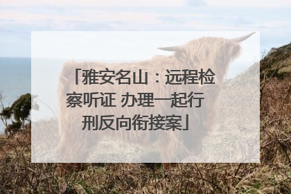 雅安名山：远程检察听证 办理一起行刑反向衔接案