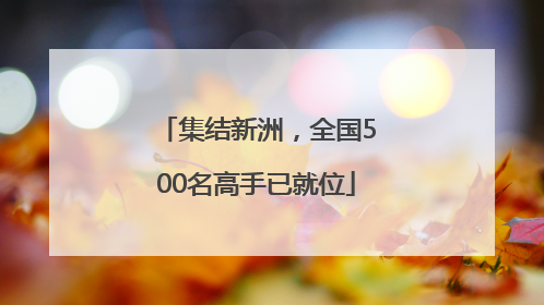 集结新洲，全国500名高手已就位
