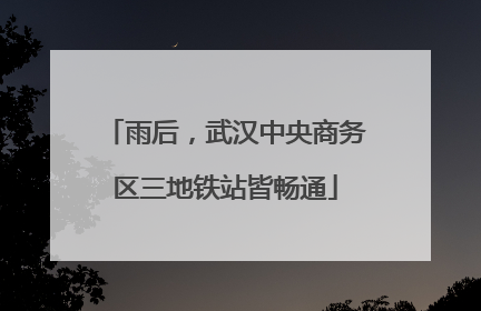 雨后，武汉中央商务区三地铁站皆畅通