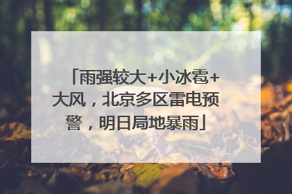 雨强较大+小冰雹+大风，北京多区雷电预警，明日局地暴雨