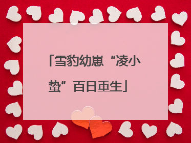雪豹幼崽“凌小蛰”百日重生