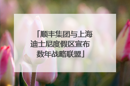 顺丰集团与上海迪士尼度假区宣布数年战略联盟