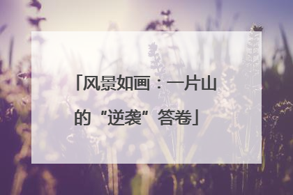 风景如画：一片山的“逆袭”答卷