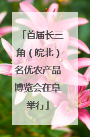 首届长三角（皖北）名优农产品博览会在阜举行