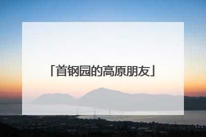 首钢园的高原朋友