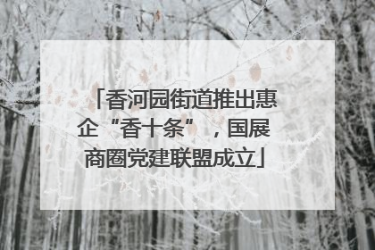 香河园街道推出惠企“香十条”，国展商圈党建联盟成立