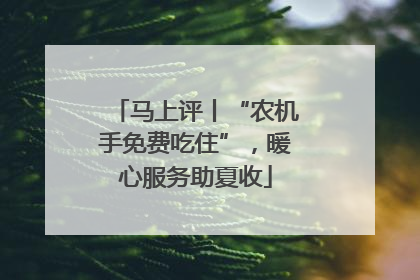 马上评丨“农机手免费吃住”，暖心服务助夏收