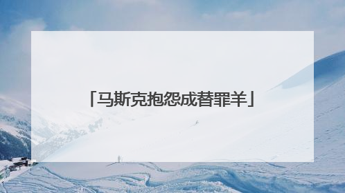 马斯克抱怨成替罪羊