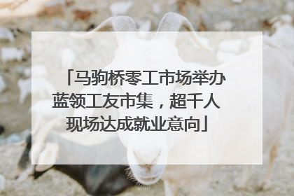 马驹桥零工市场举办蓝领工友市集，超千人现场达成就业意向