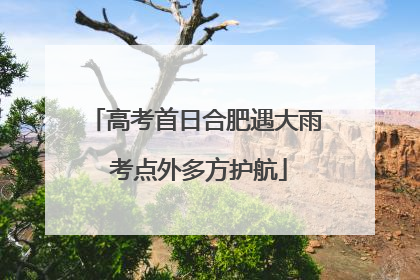 高考首日合肥遇大雨 考点外多方护航