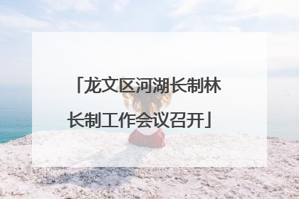 龙文区河湖长制林长制工作会议召开