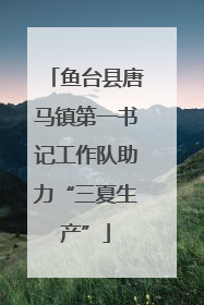 鱼台县唐马镇第一书记工作队助力“三夏生产”