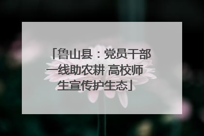 鲁山县：党员干部一线助农耕 高校师生宣传护生态