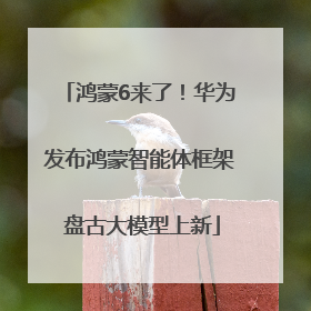 鸿蒙6来了！华为发布鸿蒙智能体框架 盘古大模型上新