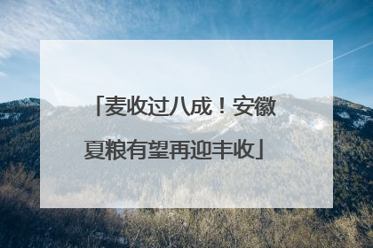 麦收过八成！安徽夏粮有望再迎丰收