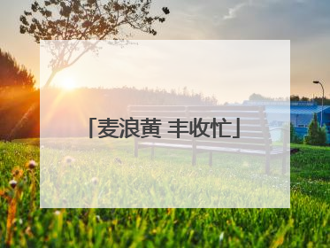 麦浪黄 丰收忙