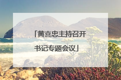 黄喜忠主持召开书记专题会议
