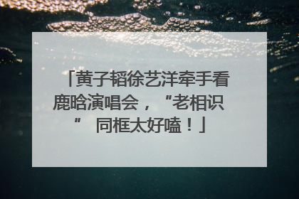 黄子韬徐艺洋牵手看鹿晗演唱会，“老相识” 同框太好嗑！