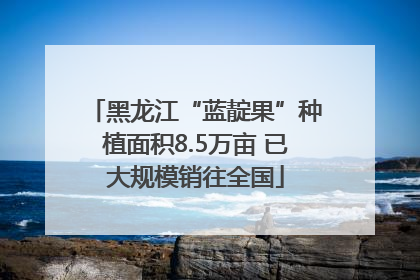 黑龙江“蓝靛果”种植面积8.5万亩 已大规模销往全国