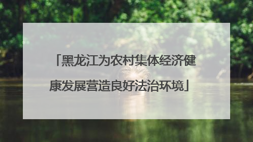 黑龙江为农村集体经济健康发展营造良好法治环境