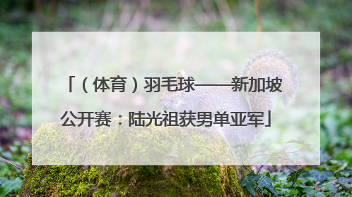（体育）羽毛球——新加坡公开赛：陆光祖获男单亚军