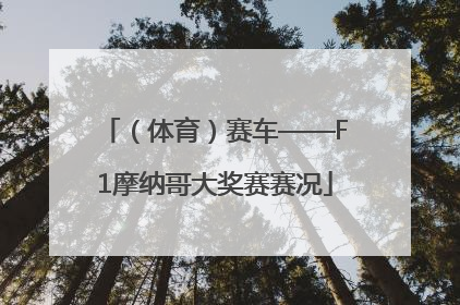 （体育）赛车——F1摩纳哥大奖赛赛况