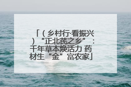 （乡村行·看振兴）“正北芪之乡”：千年草本焕活力 药材生“金”富农家