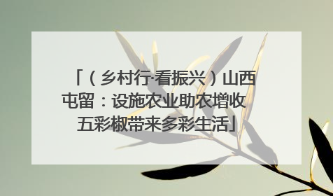 （乡村行·看振兴）山西屯留：设施农业助农增收 五彩椒带来多彩生活