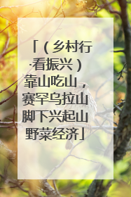 （乡村行·看振兴）靠山吃山，赛罕乌拉山脚下兴起山野菜经济