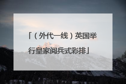 （外代一线）英国举行皇家阅兵式彩排