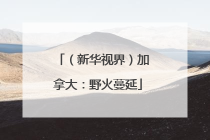 （新华视界）加拿大：野火蔓延