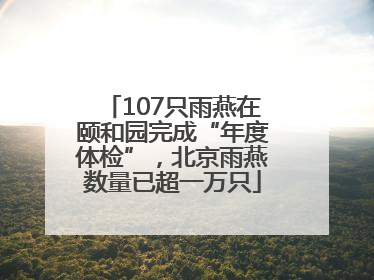 107只雨燕在颐和园完成“年度体检”，北京雨燕数量已超一万只