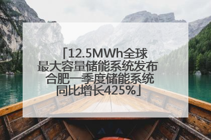 12.5MWh全球最大容量储能系统发布 合肥一季度储能系统同比增长425%
