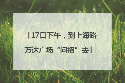 17日下午，到上海路万达广场“问招”去