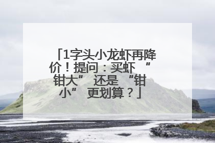 1字头小龙虾再降价！提问：买虾 “钳大” 还是 “钳小” 更划算？