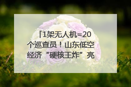 1架无人机=20个巡查员！山东低空经济“硬核王炸”亮相青岛，下一个万亿赛道藏在这里