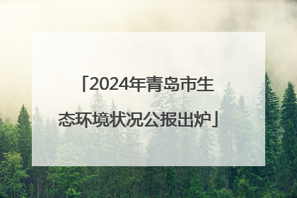 2024年青岛市生态环境状况公报出炉