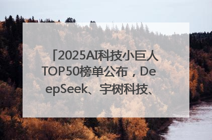 2025AI科技小巨人TOP50榜单公布，DeepSeek、宇树科技、蘑菇车联等企业荣誉上榜