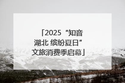 2025“知音湖北 缤纷夏日”文旅消费季启幕
