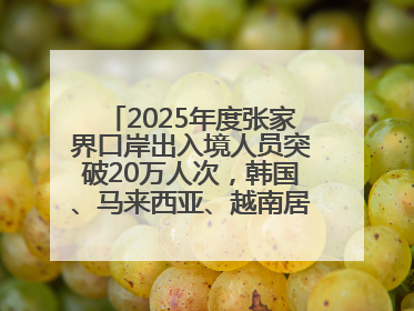 2025年度张家界口岸出入境人员突破20万人次，韩国、马来西亚、越南居客源国前三